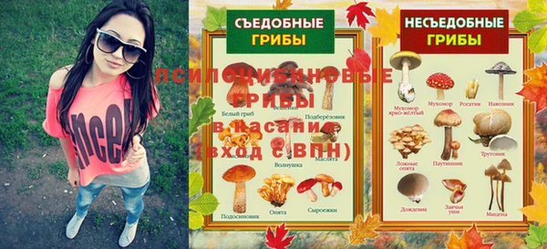 ПСИЛОЦИБИНОВЫЕ ГРИБЫ Богородск