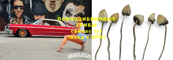 mdpv Беломорск