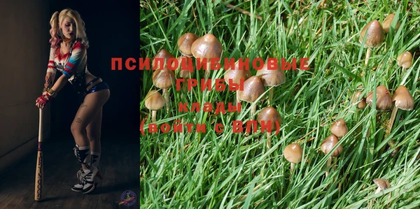 гидропоника Усмань