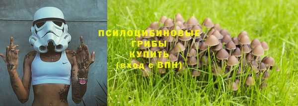 прущий лед Усинск